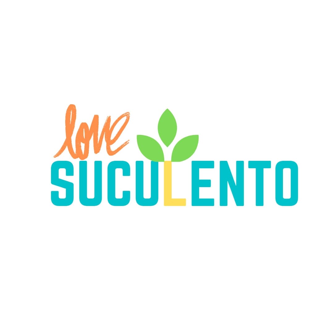 Logo 15