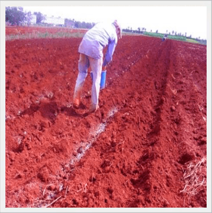 Lanzamiento de NEREA: Nueva tecnologia para el agro