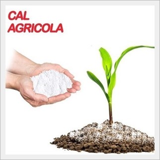 CAL AGRÍCOLA - EcoSea